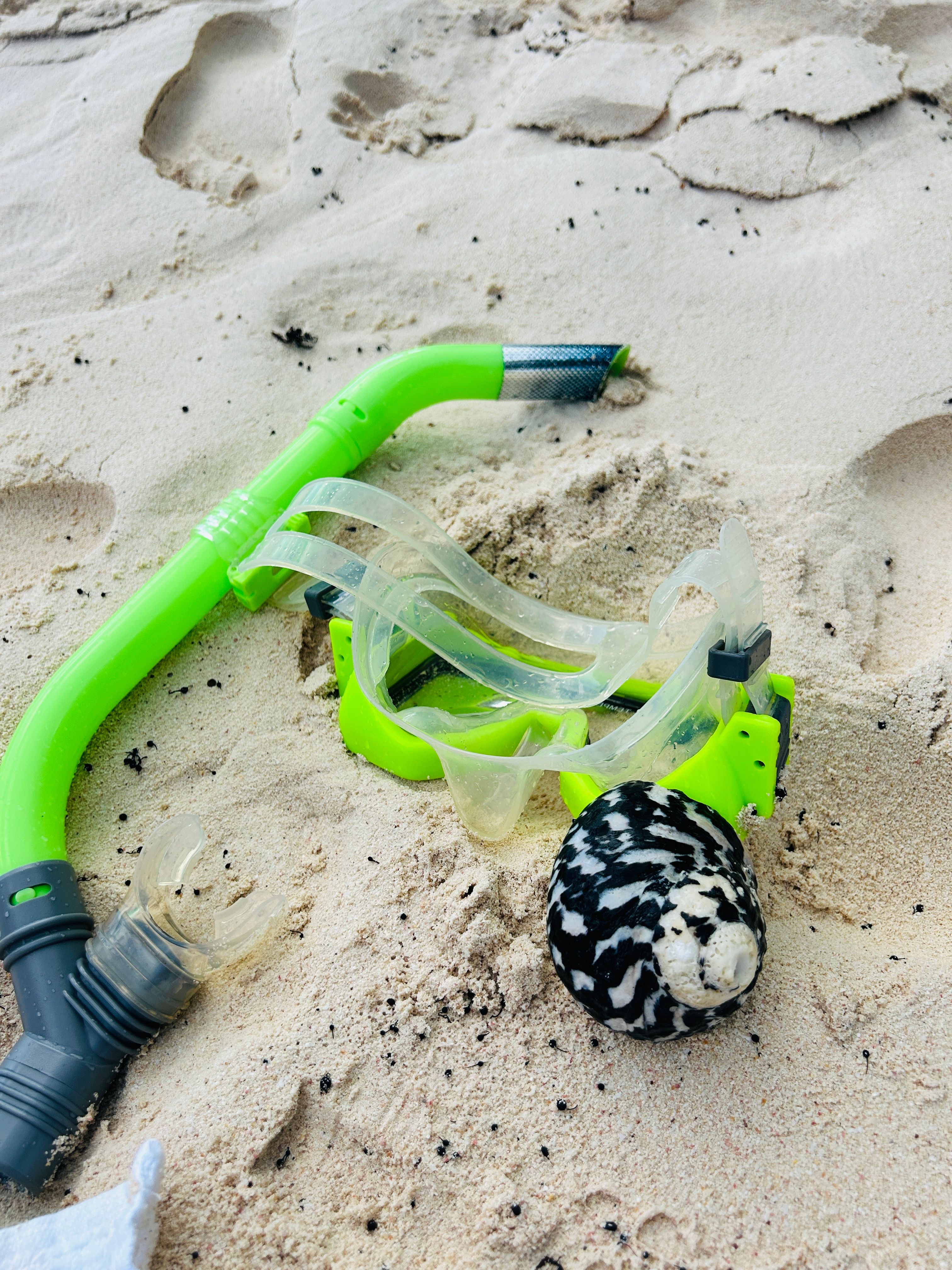 Snorkeling mask and snorkel arranged on clean beach sand