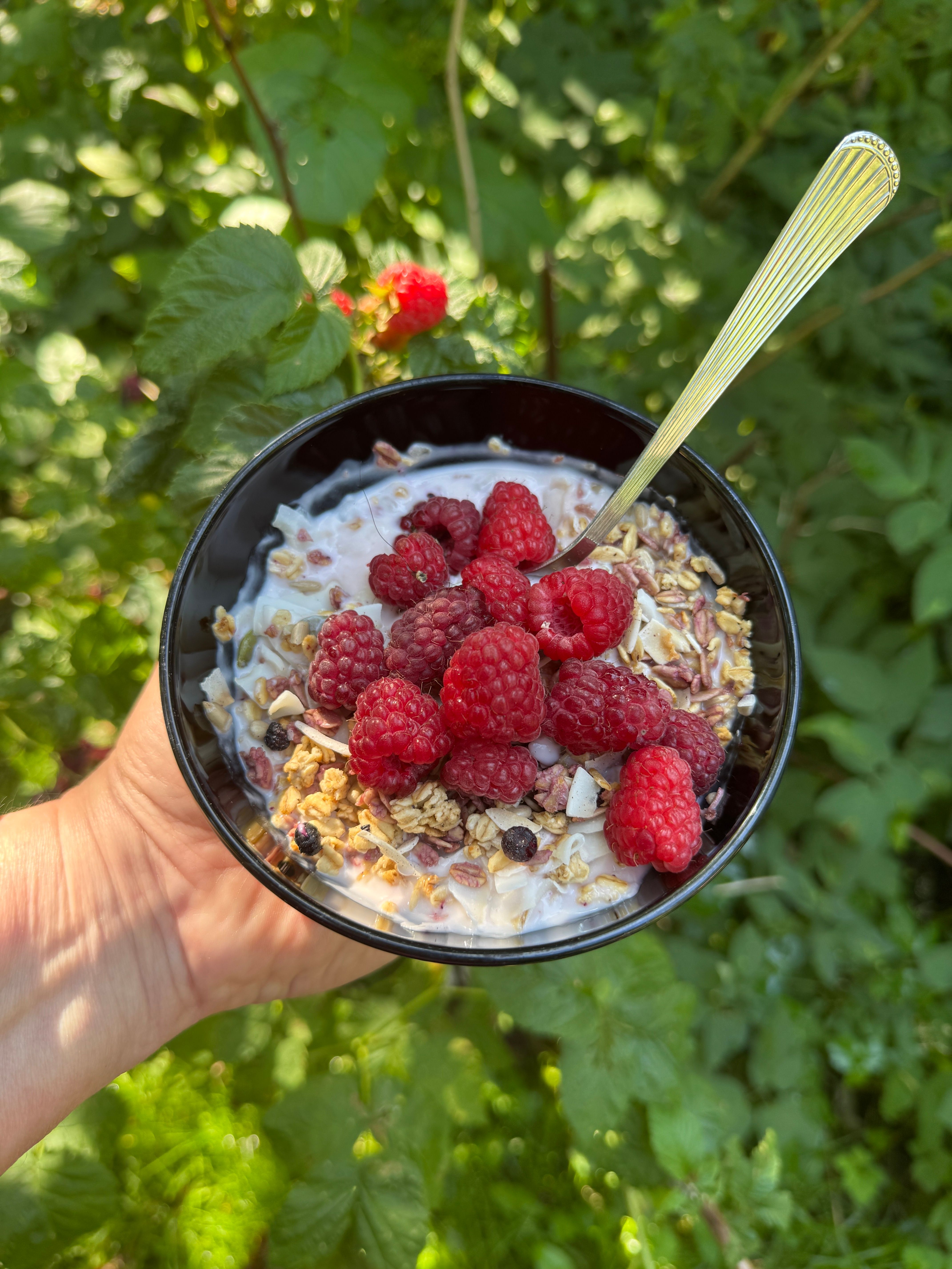 Delicious Raspberry Granola Bowl in Swedish Summer · Free Stock Photo