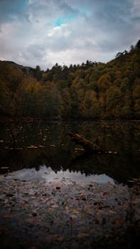 Serene autumn scene of a calm lake surrounded by forest in Bolu, Türkiye.