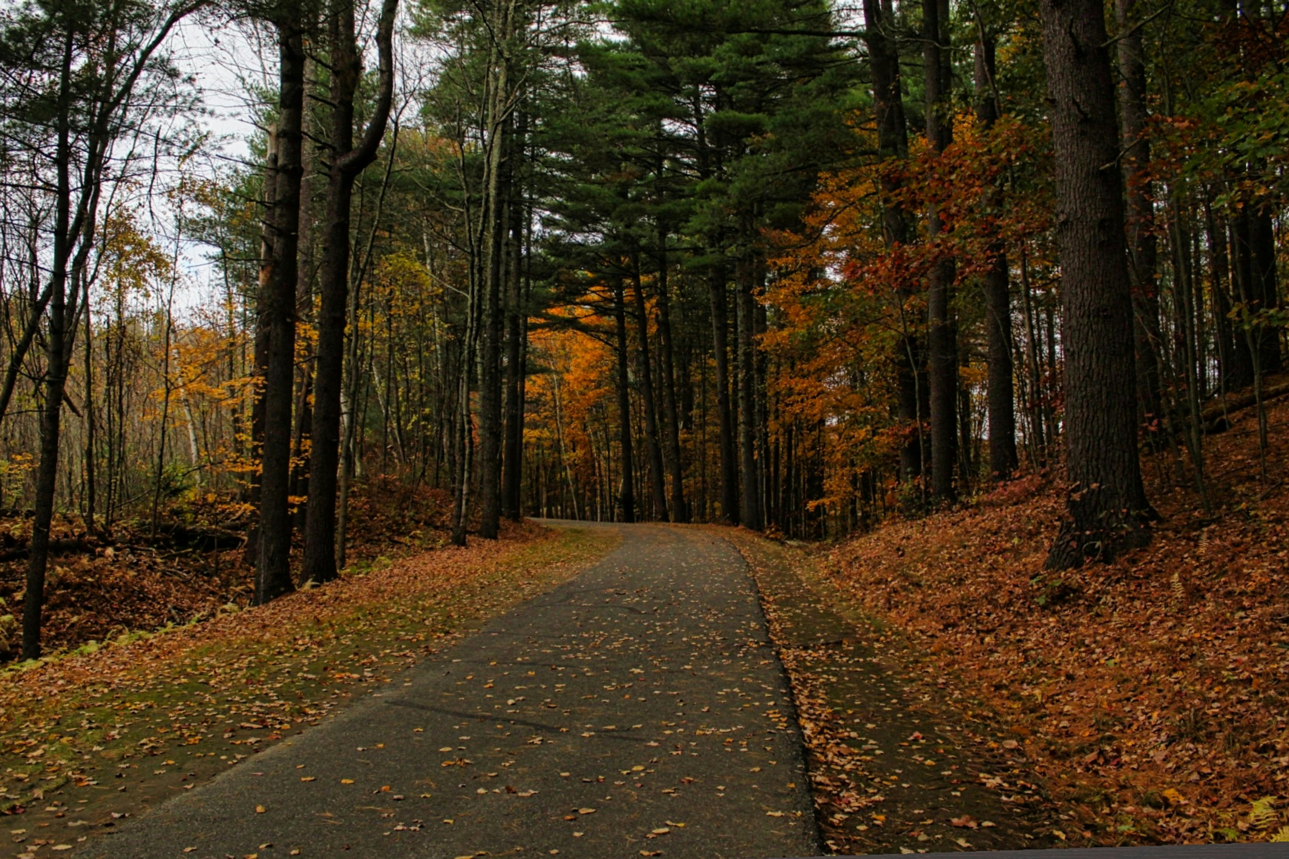 嘉義湖子內社區公園綠地新建工程開工 推動全齡綠色生活圈
