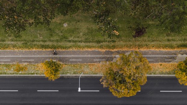 Aerial photograph of a cyclist on a tree-lined pathway during autumn in Belgrade, Serbia.