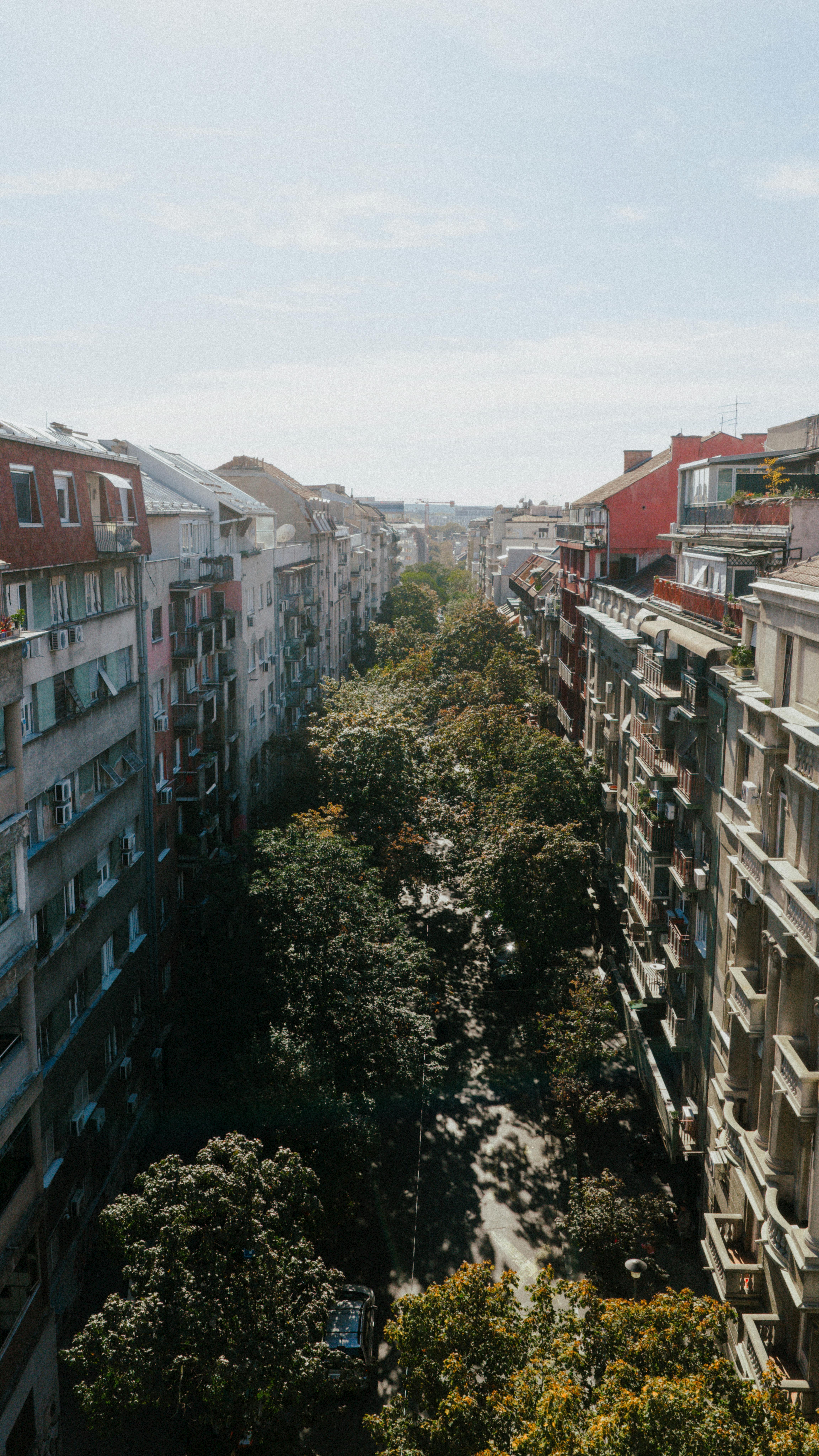 無料 セルビアのベオグラードにある、歴史的建造物に囲まれた並木道の航空写真。 写真素材