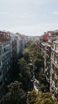 Aerial shot of a tree-lined street flanked by historic buildings in Belgrade, Serbia.