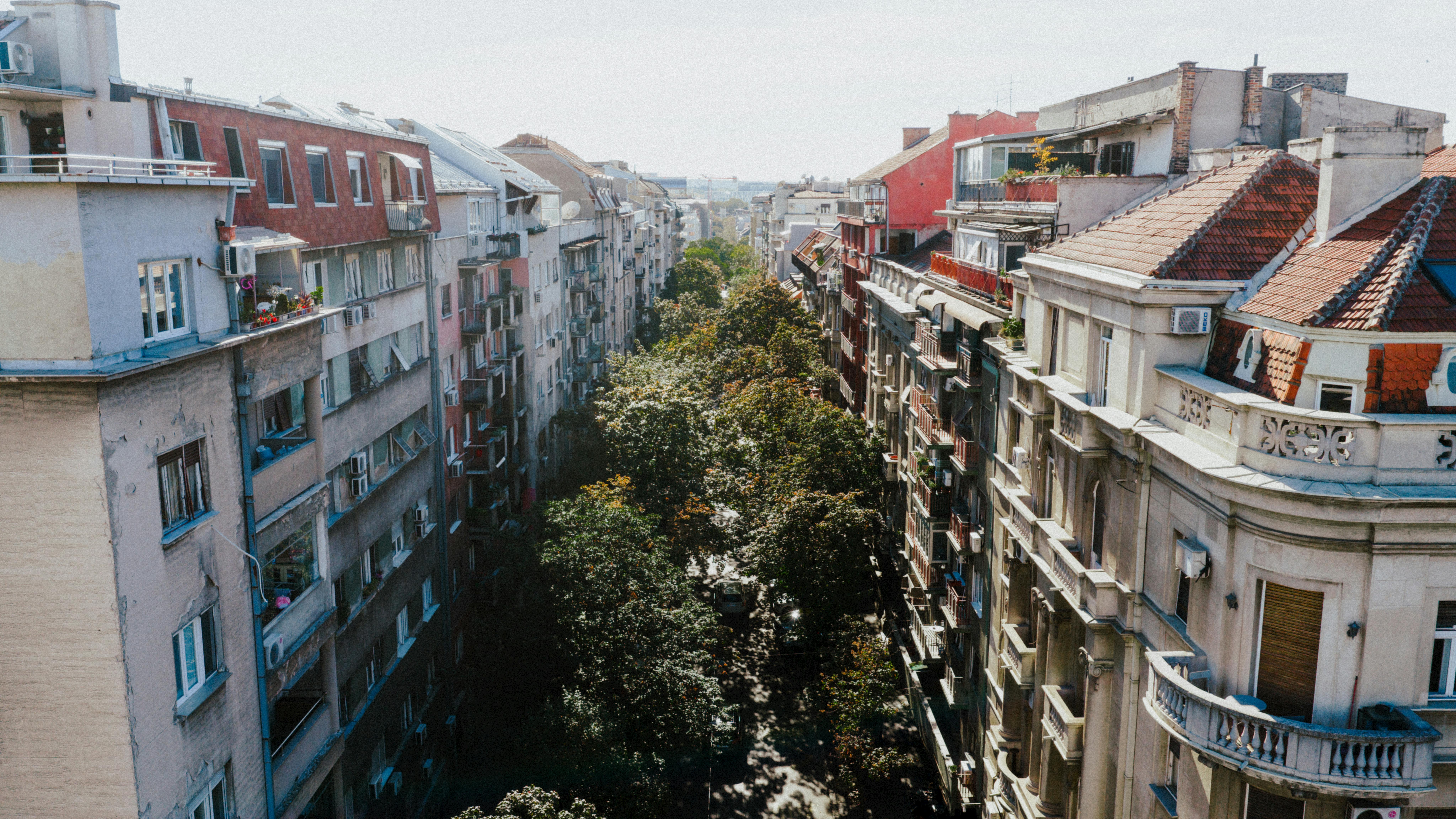 Charming aerial view of a tree-lined residential street in Belgrade, Serbia.
