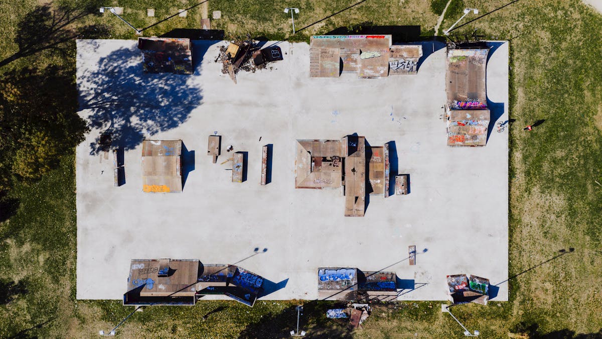 سماء زرقاء فوق غابة خضراء