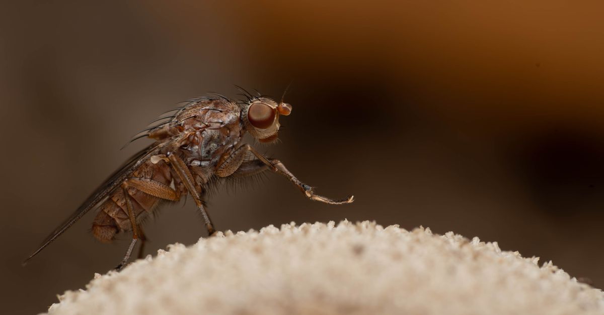 OpenAI Launches Bio Bug Bounty to Enhance Security