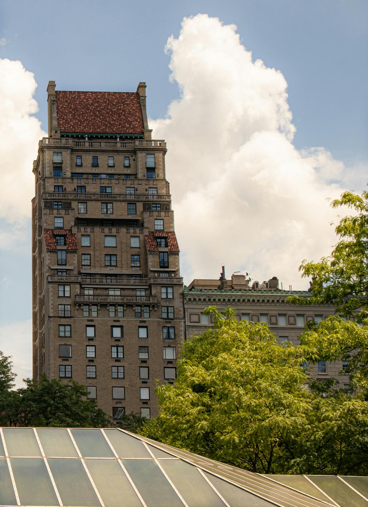 غابة كثيفة في ضوء المساء