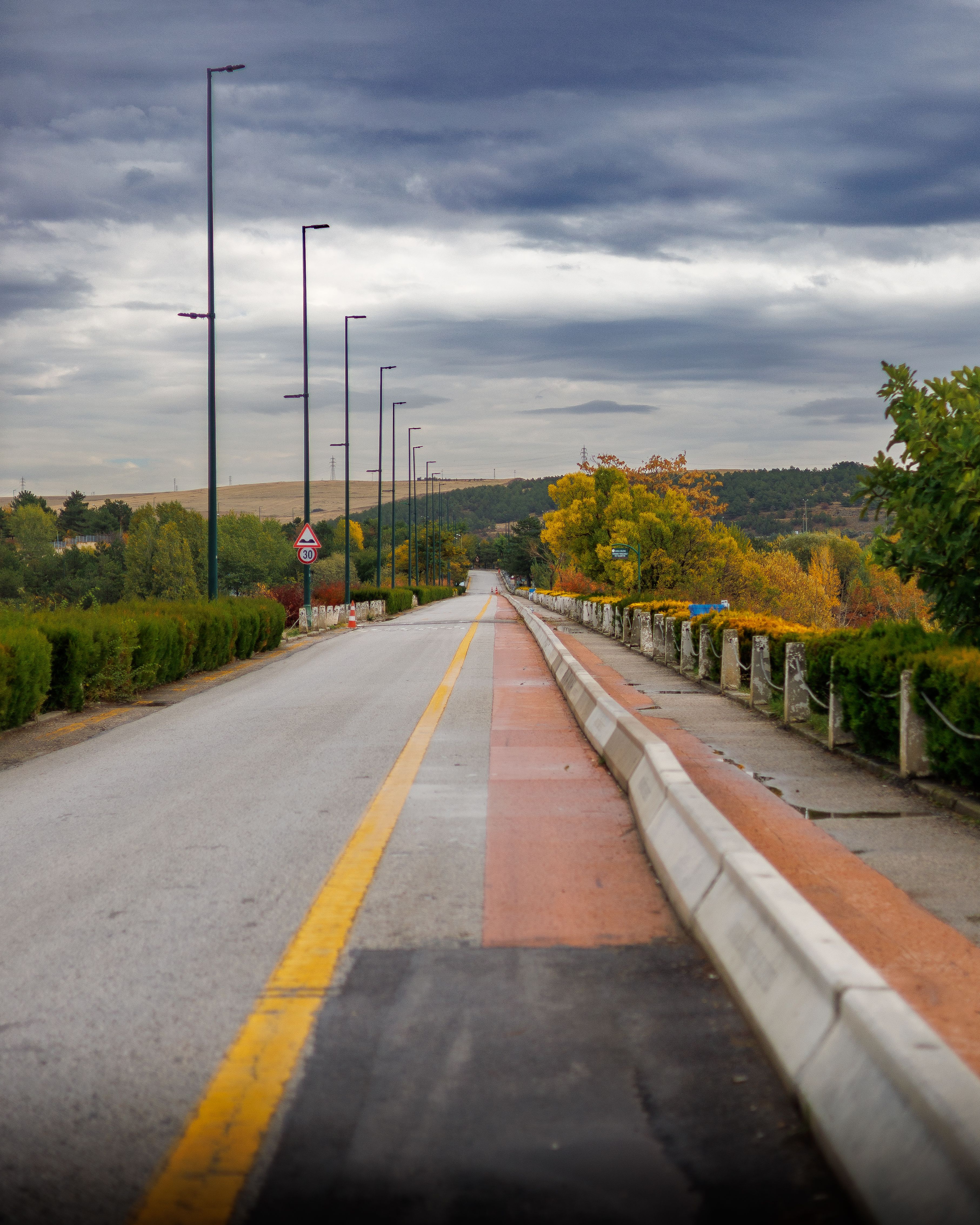 Serene view of an empty road flanked by autumn foliage under a cloudy sky.