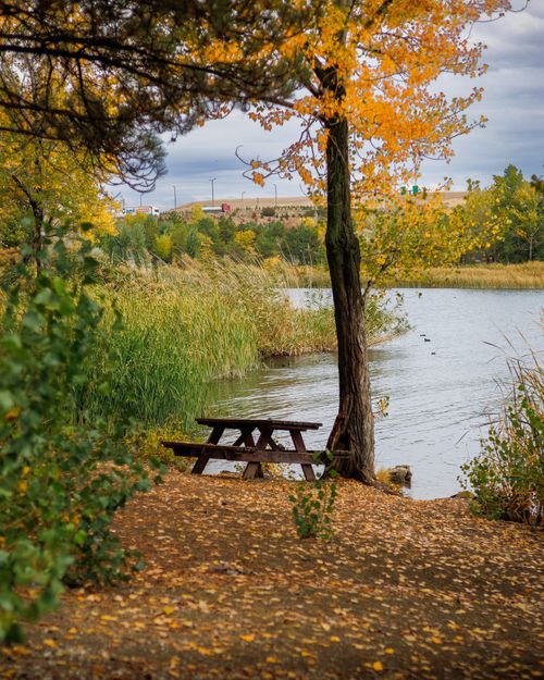 Free Tranquil autumn scene by a lakeside with a picnic table and vibrant foliage. Stock Photo