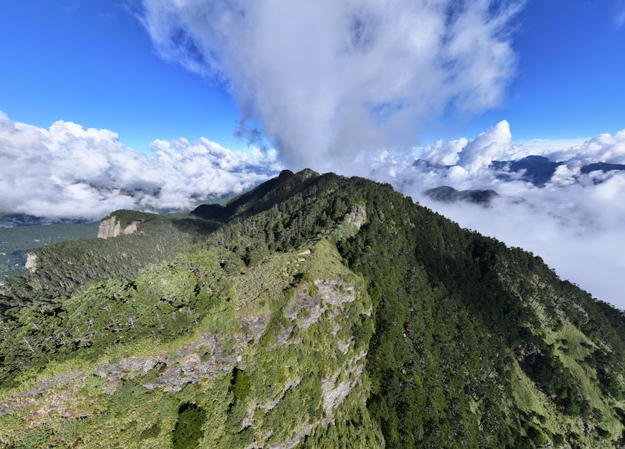 A stunning aerial view of Taiwan's lush mountain peaks surrounded by clouds and a vibrant blue sky.