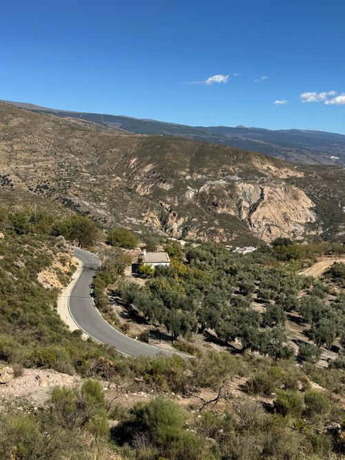 Free Curving mountain road with olive groves in Andalusia, Spain under clear blue sky. Stock Photo