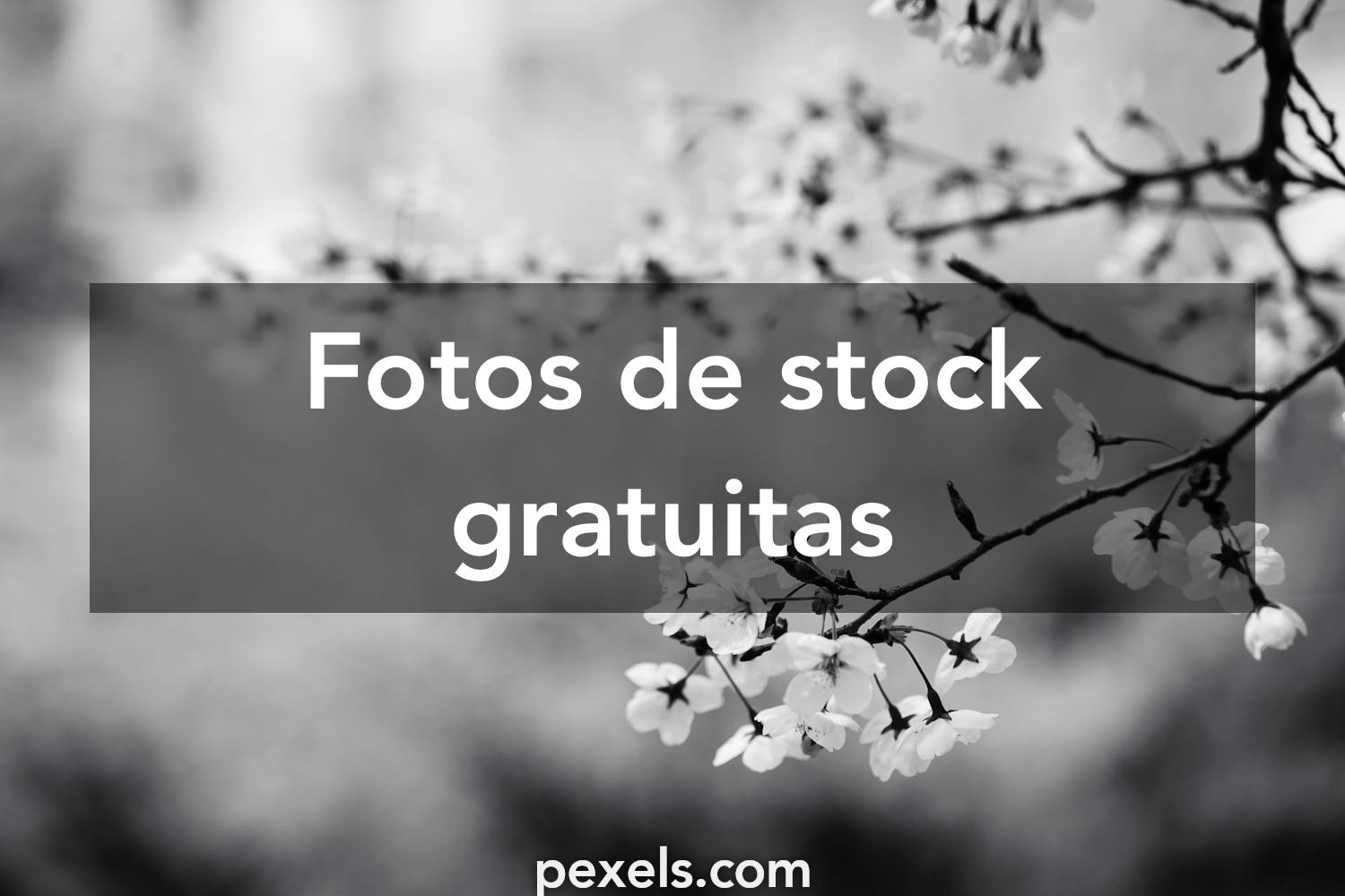 + Fotos y Imágenes de Flores blancas y negras Gratis · Banco de  Fotos Gratis