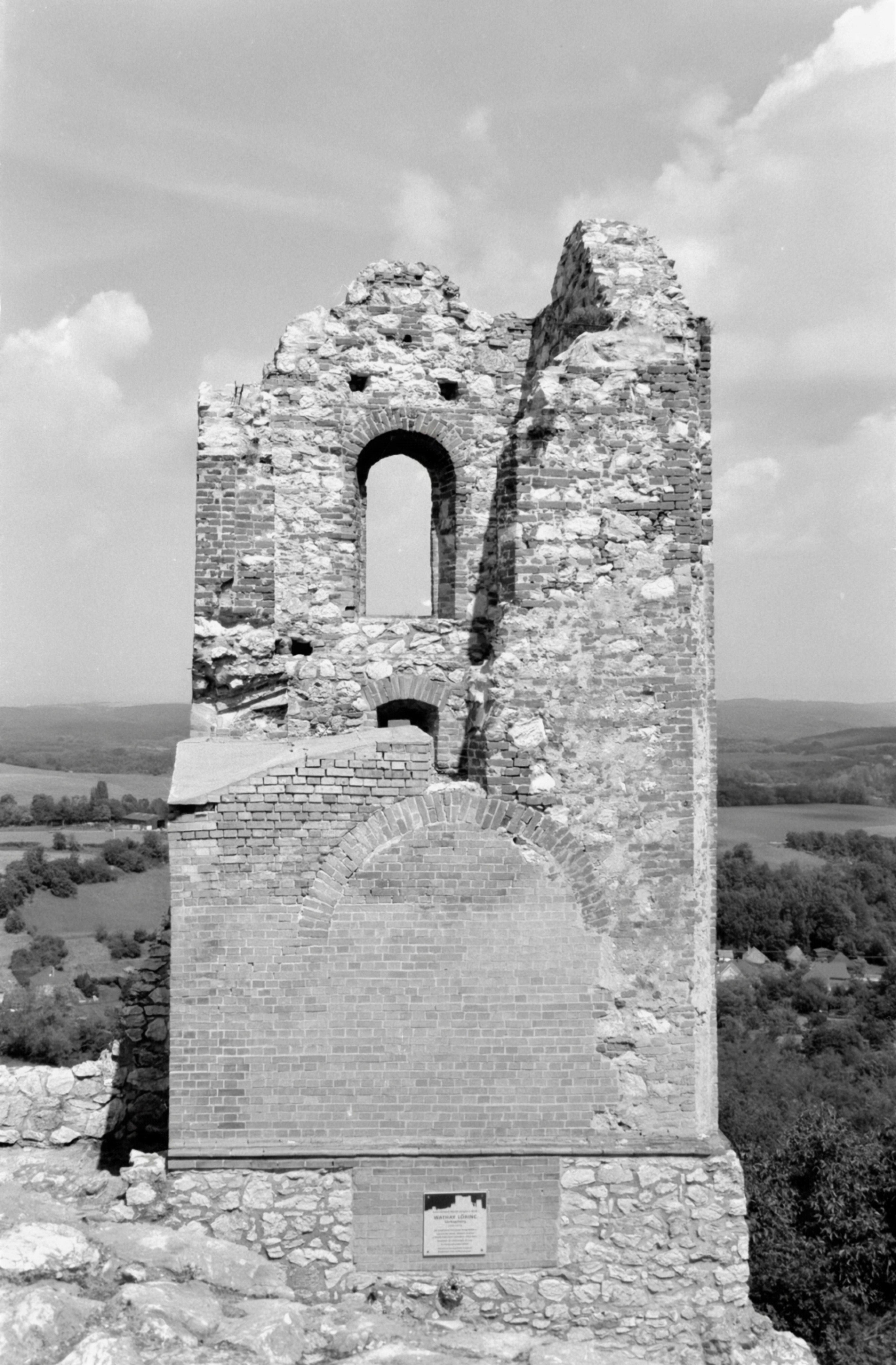 Black and white photo of ancient stone tower ruins in a serene landscape, conveying timelessness.