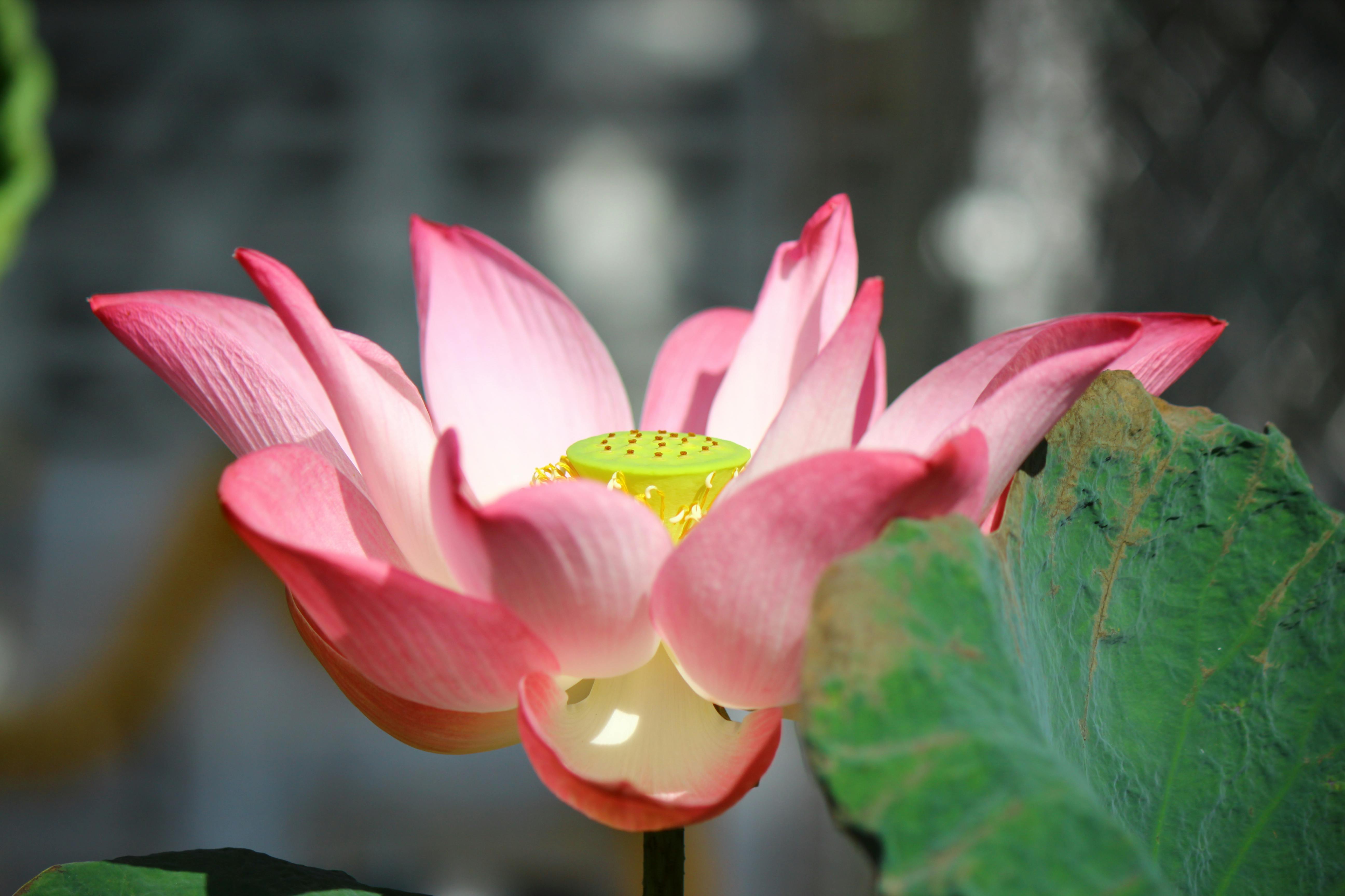 國際：半導體股強勢推動 韓股衝刺4000點大關