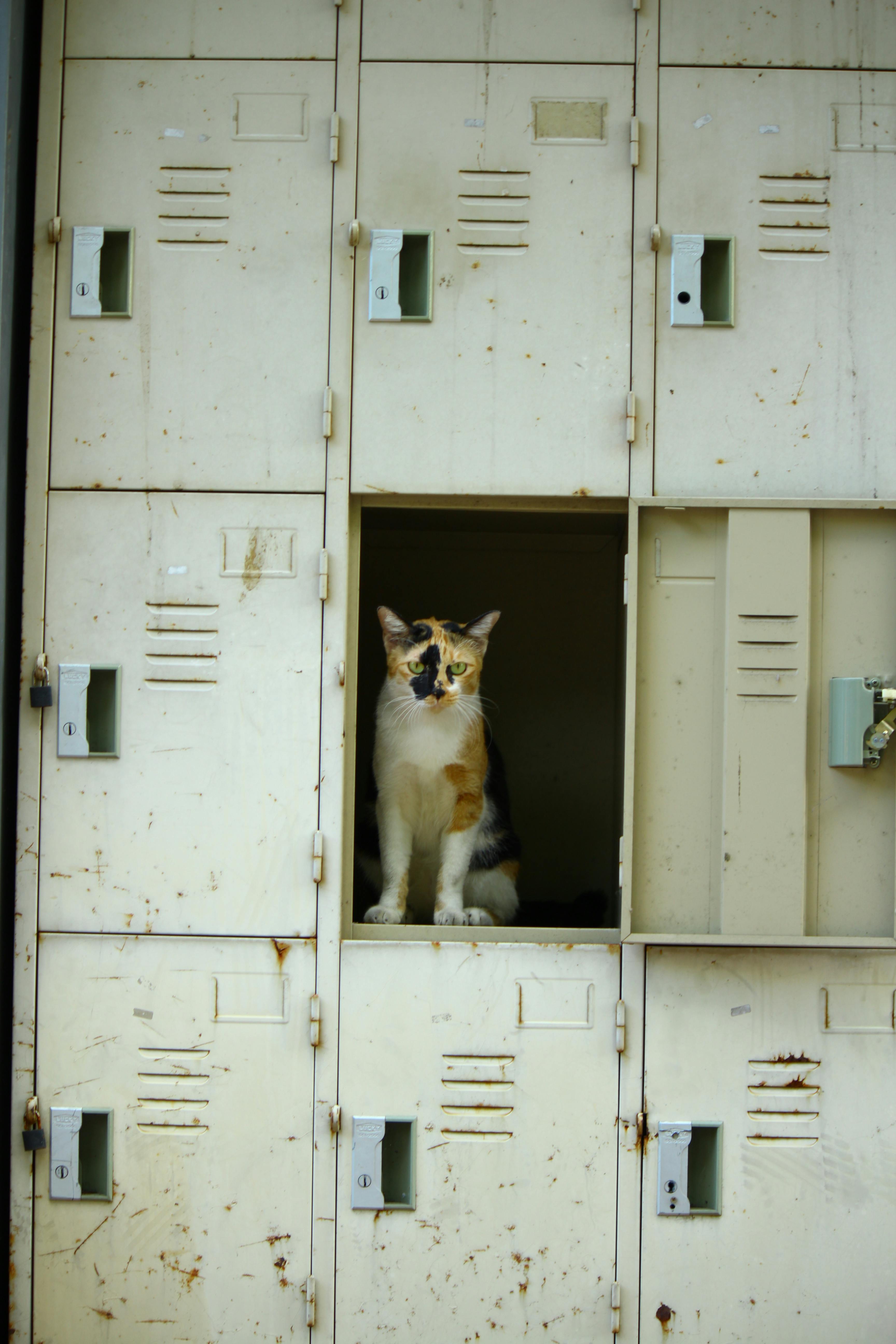 Khóa cửa vân tay