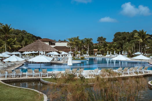 Serene outdoor pool area with umbrellas and palm trees under a clear blue sky.