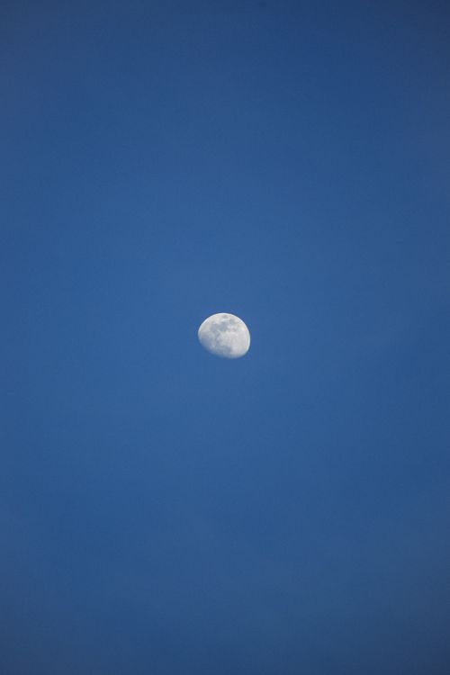 Free Captivating view of the moon surrounded by a clear blue sky. Perfect for celestial photography enthusiasts. Stock Photo