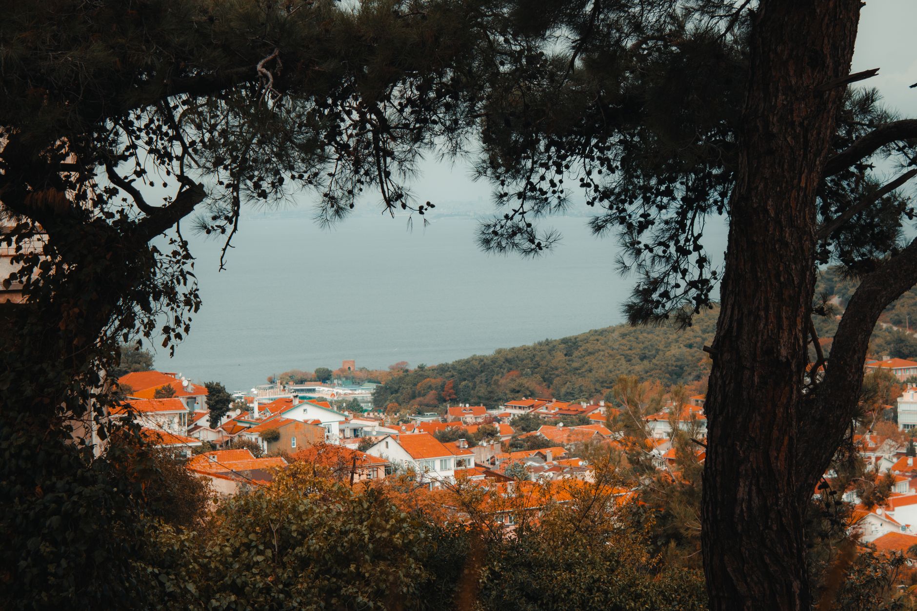 Demirciköy'de modern bahçeli villa ve müstakil ev Sarıyer'de