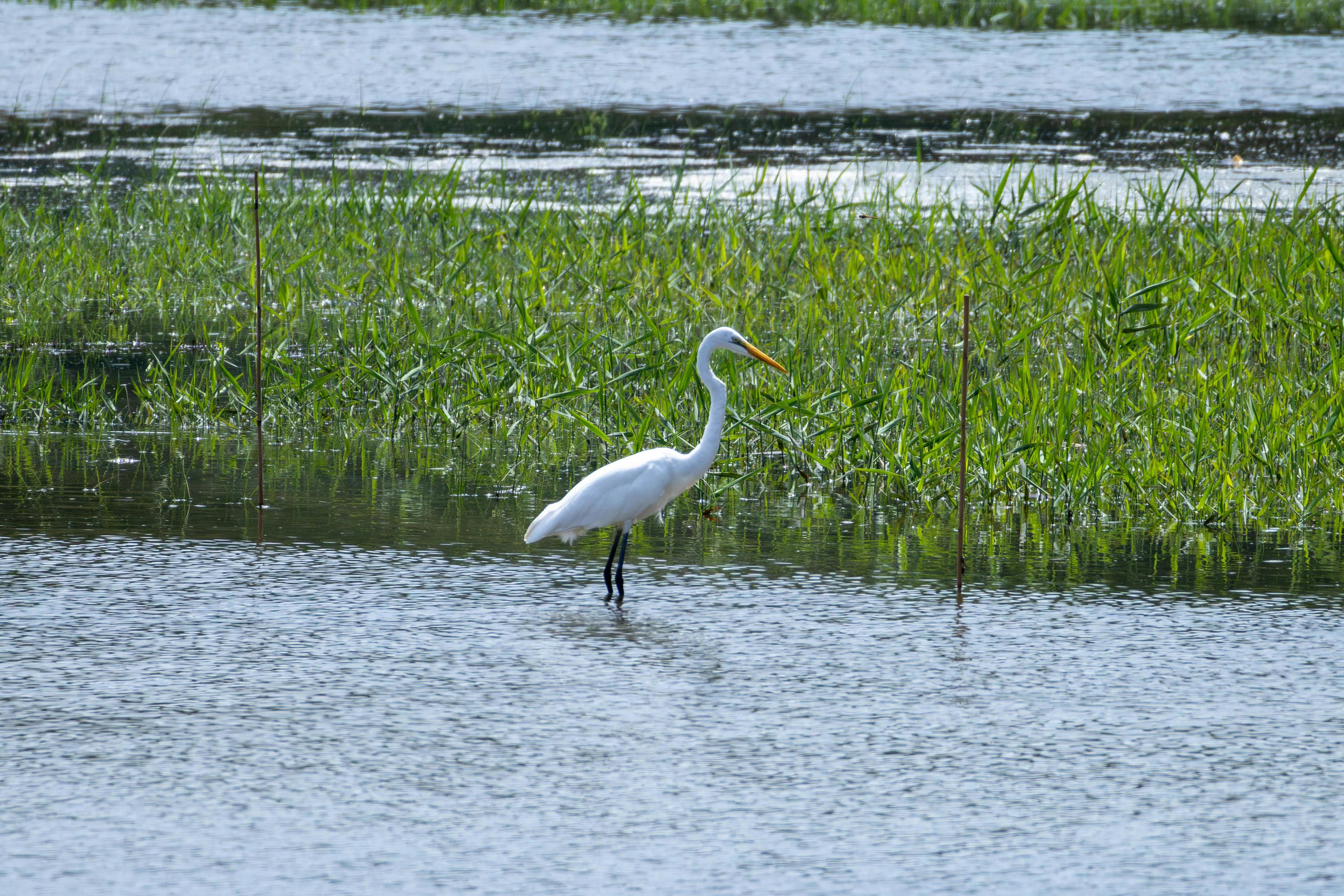 財經：親權官司糾纏不休？這裡教你一招輕鬆取勝
