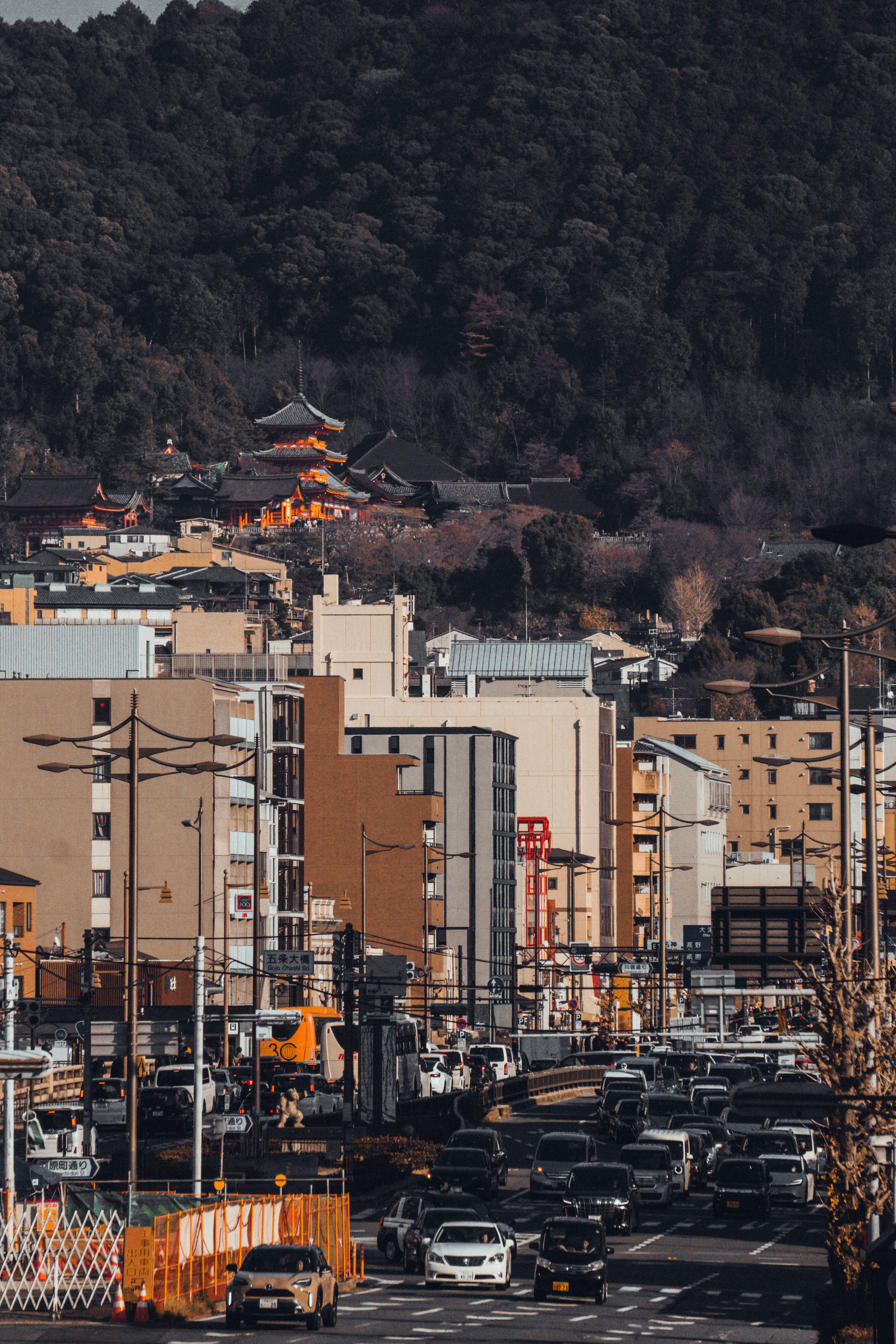5‑Day Warm Family Exploration of Kyoto