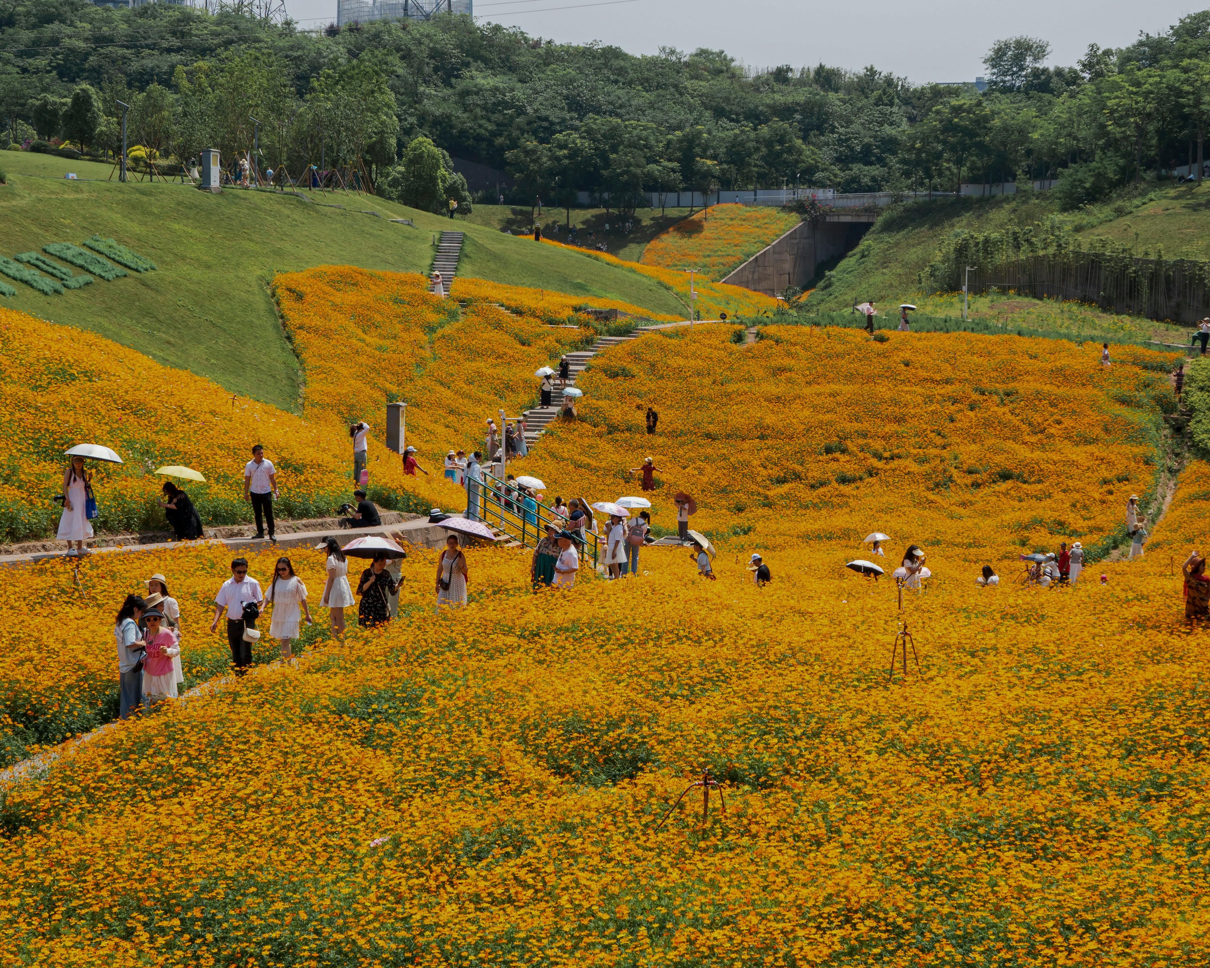 生活：快訊｜10月25日全台降雨特報，外出注意路面積水與交通安全
