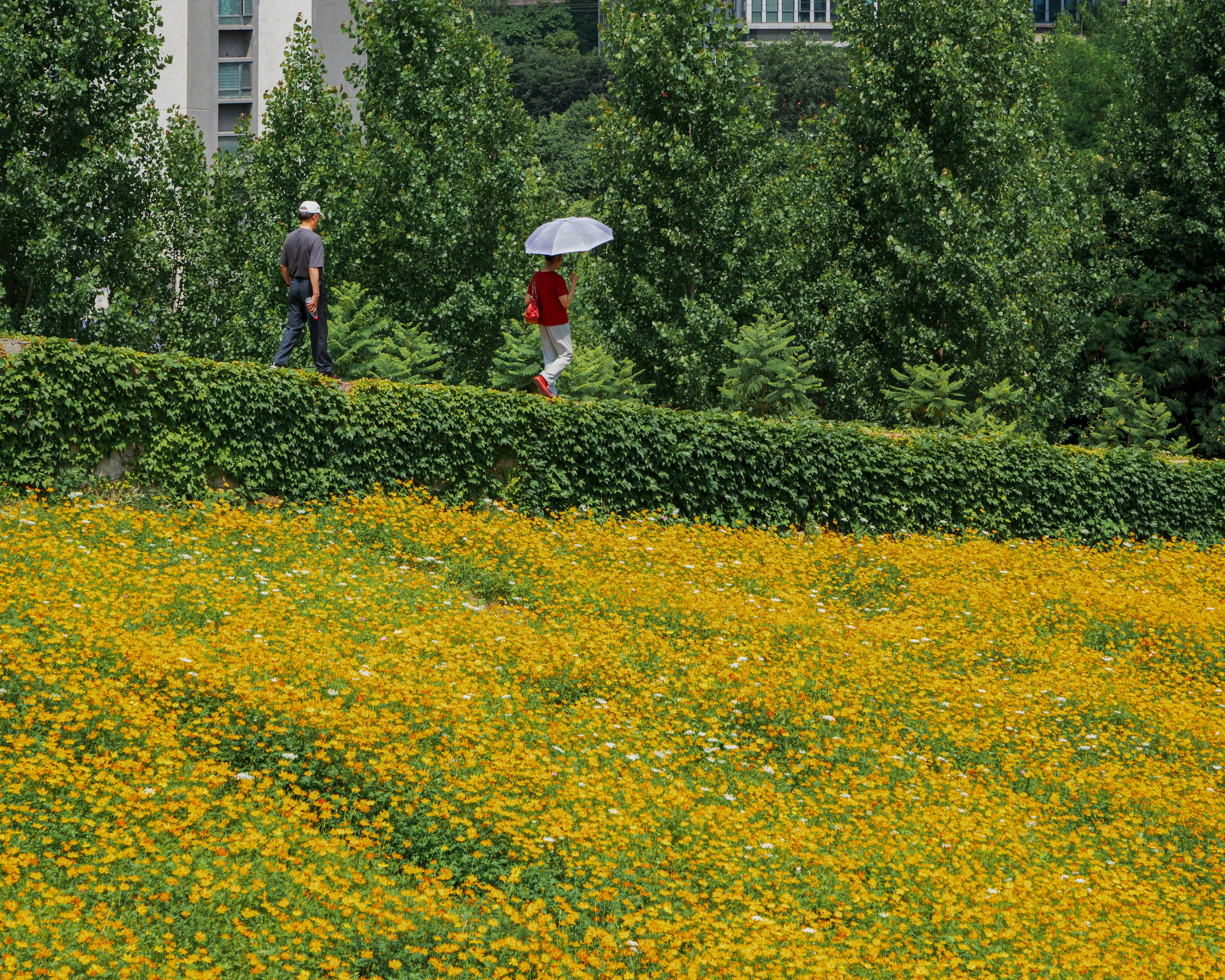生活：快訊｜10月25日全台降雨特報，外出注意路面積水與交通安全