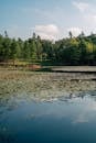 Tranquil Yanque Lake in Late Autumn, Nanjing
