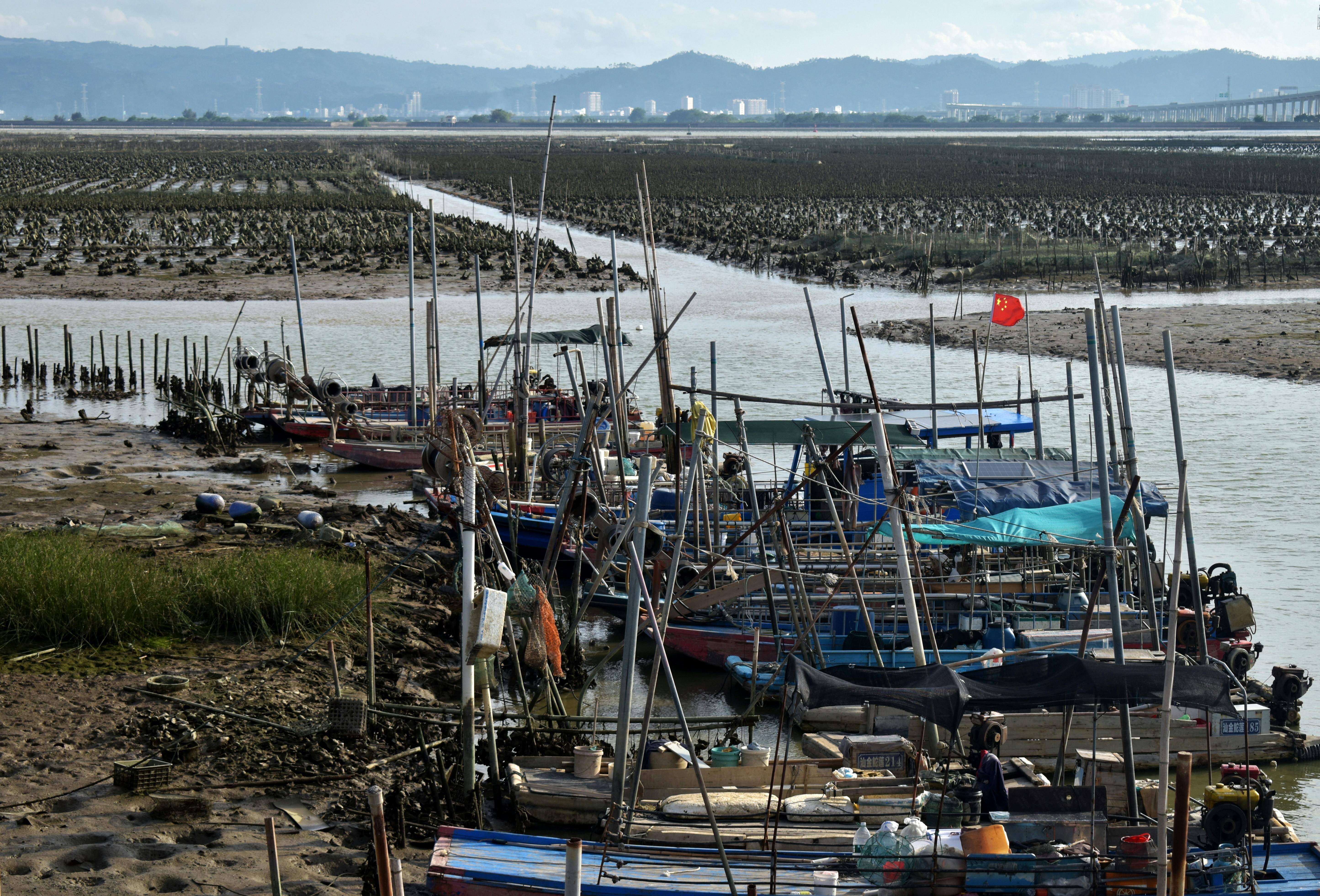 財經：全球經濟復甦趨緩，台灣出口表現依舊亮眼
