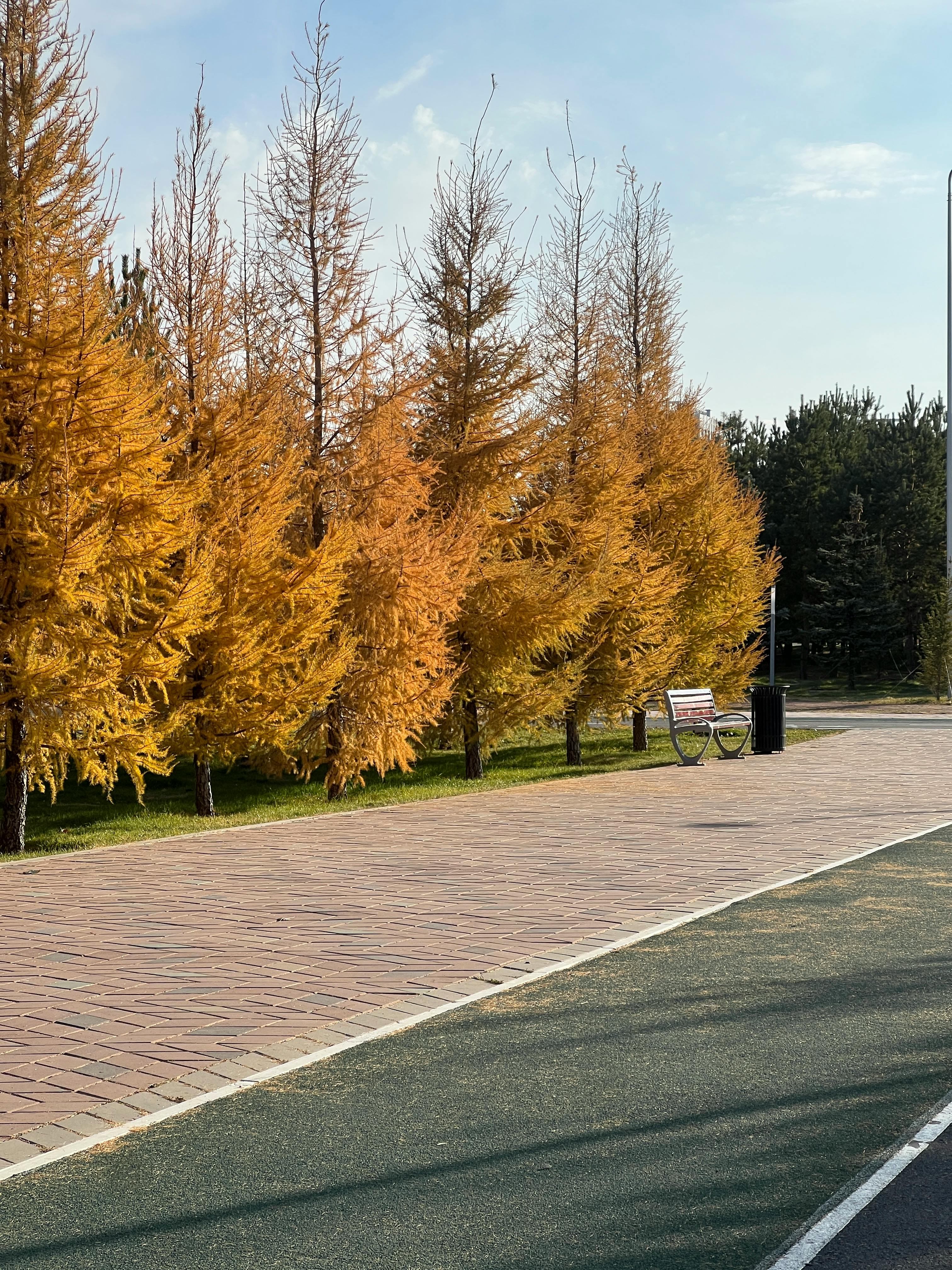 Horoscop zilnic pentru 28 octombrie 2025.