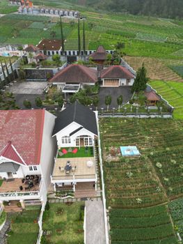 Aerial photo capturing rural houses surrounded by lush green farmlands and gardens.