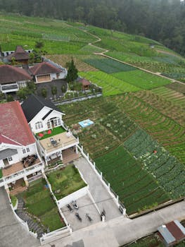 Scenic aerial view of a rural farming community with lush green fields and houses.