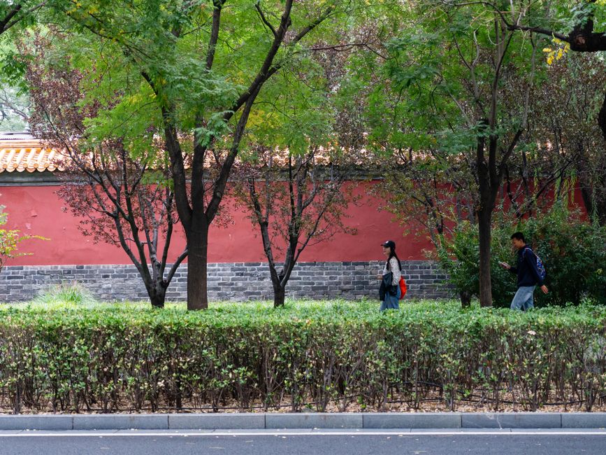 Two people walk along a classic Chinese brick wall surrounded by lush greenery and trees.
