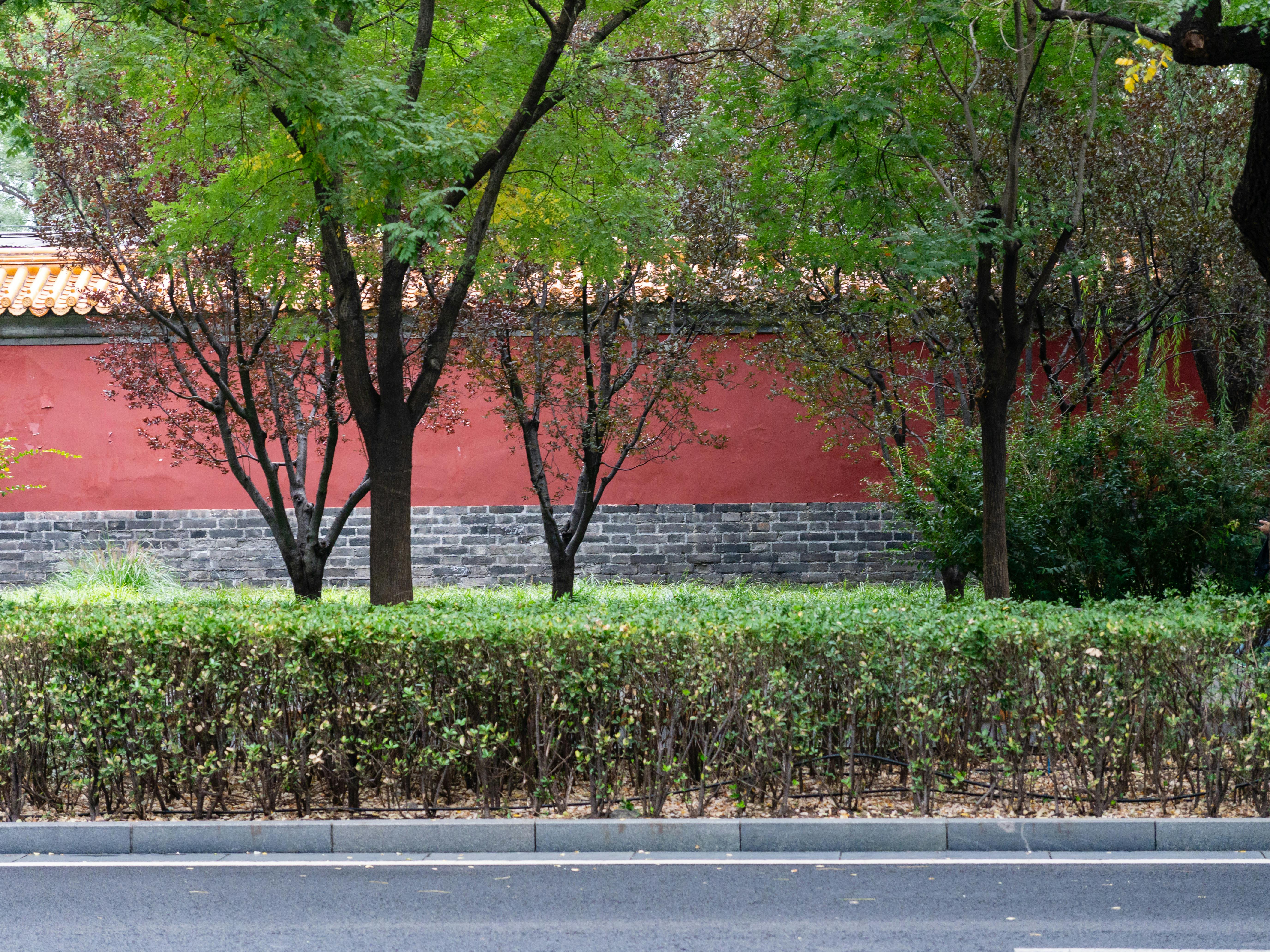 Beijing