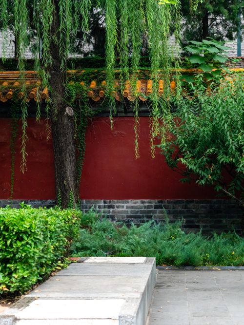 Free Lush garden scene with traditional red wall and greenery in Beijing, evoking a serene and peaceful ambiance. Stock Photo
