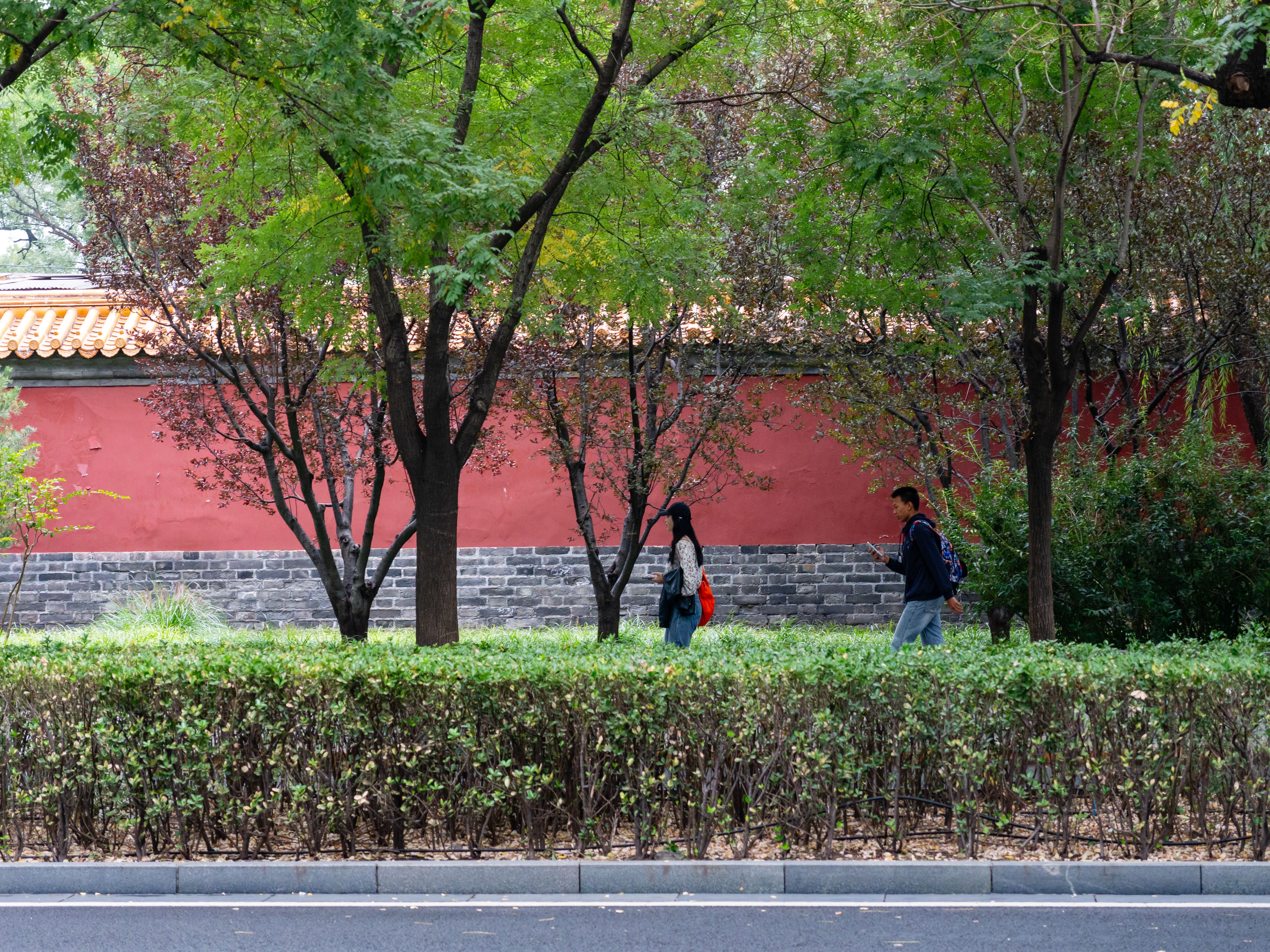 Beijing Yonghe Lama Temple Guide: Tibetan Buddhism in the Capital