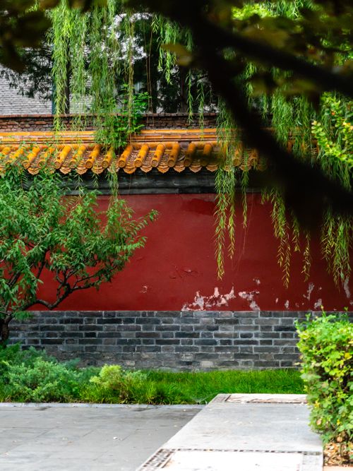 Free A vibrant red wall with traditional Chinese architecture surrounded by lush green plants and hanging branches. Stock Photo