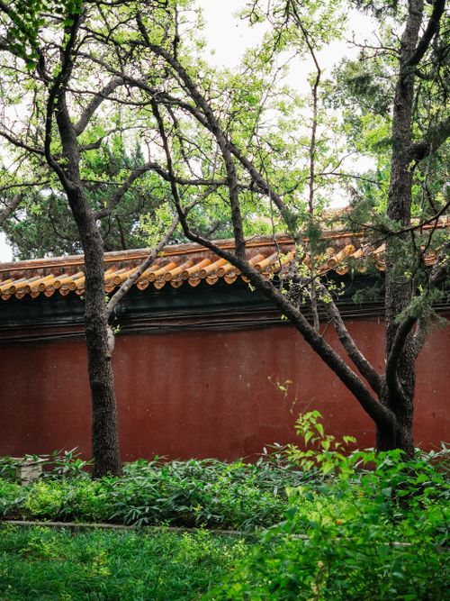Free A serene view of a traditional Chinese garden featuring lush greenery and a decorative wall. Stock Photo