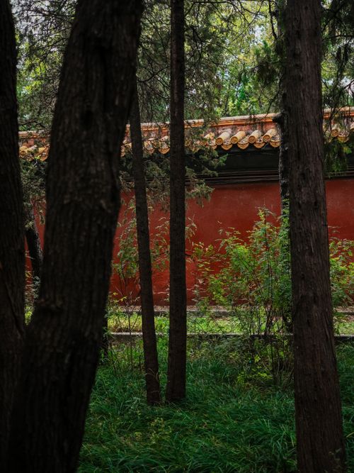 Free A tranquil forest view with a traditional red wall in the background, evoking a sense of peace. Stock Photo