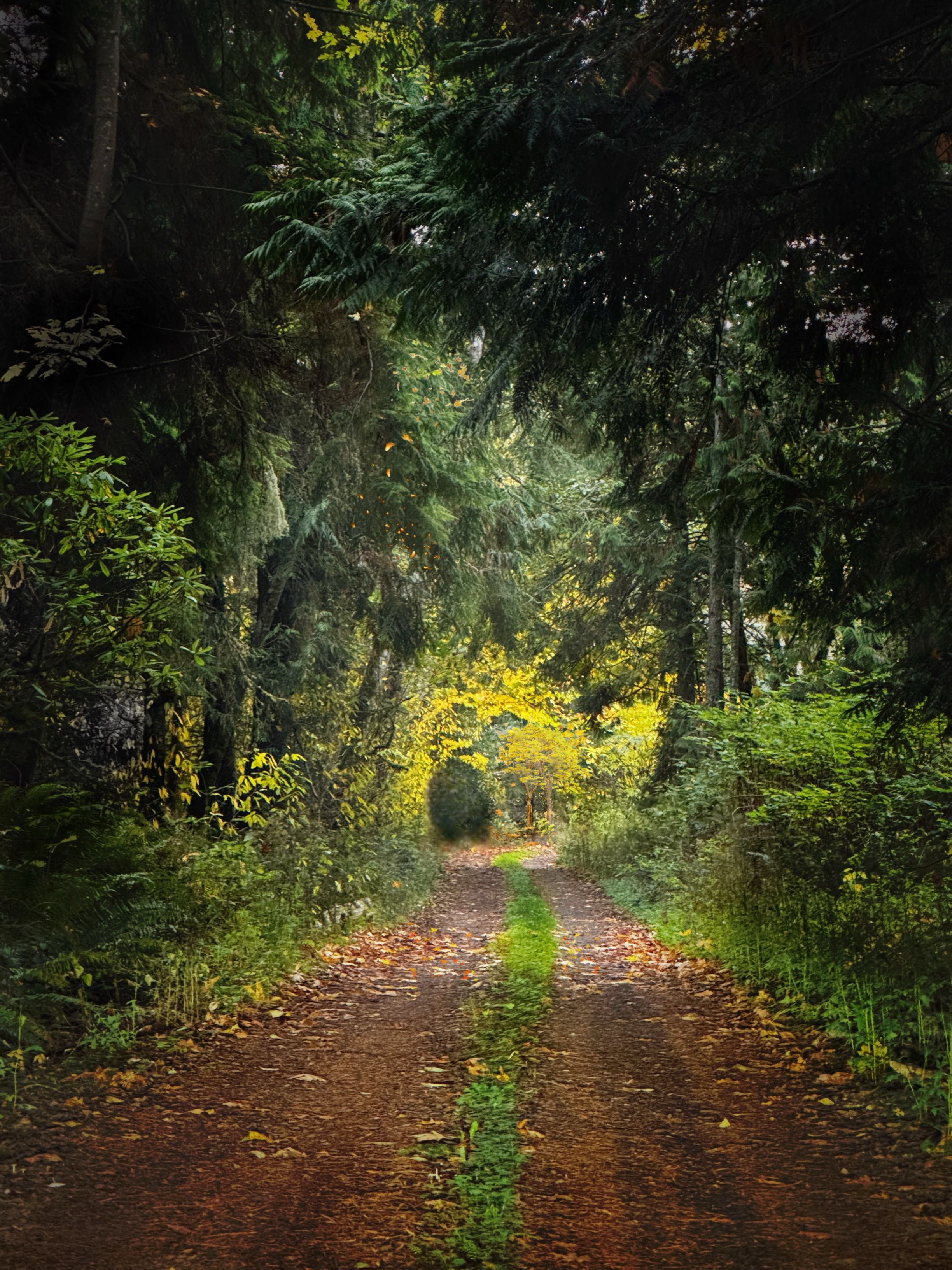 Free The Light at the End of the Tunnel Stock Photo