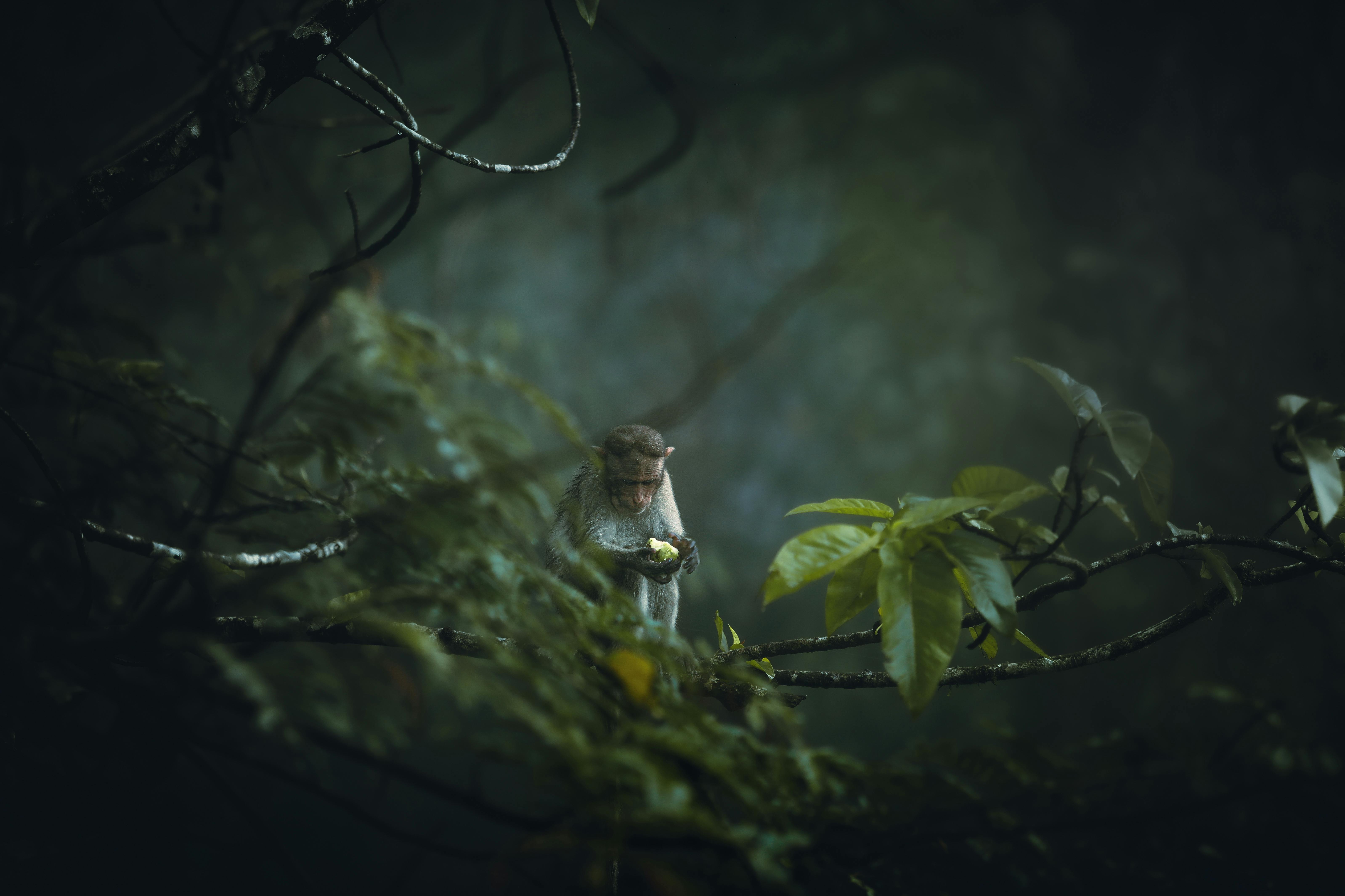 生活：快訊｜10月25日全台降雨特報，外出注意路面積水與交通安全