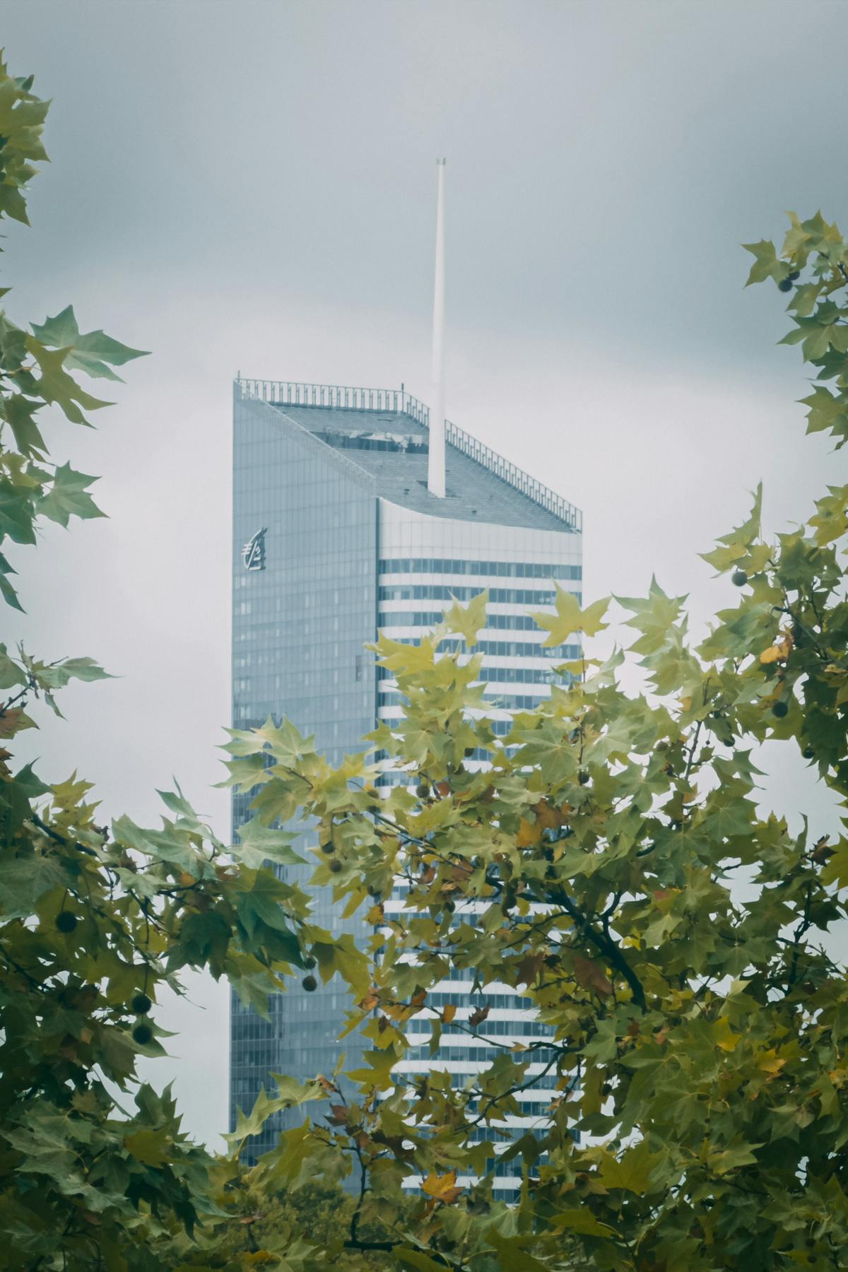 سماء وردية فوق بحر هادئ