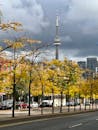 Autumn View of CN Tower in Toronto, Canada