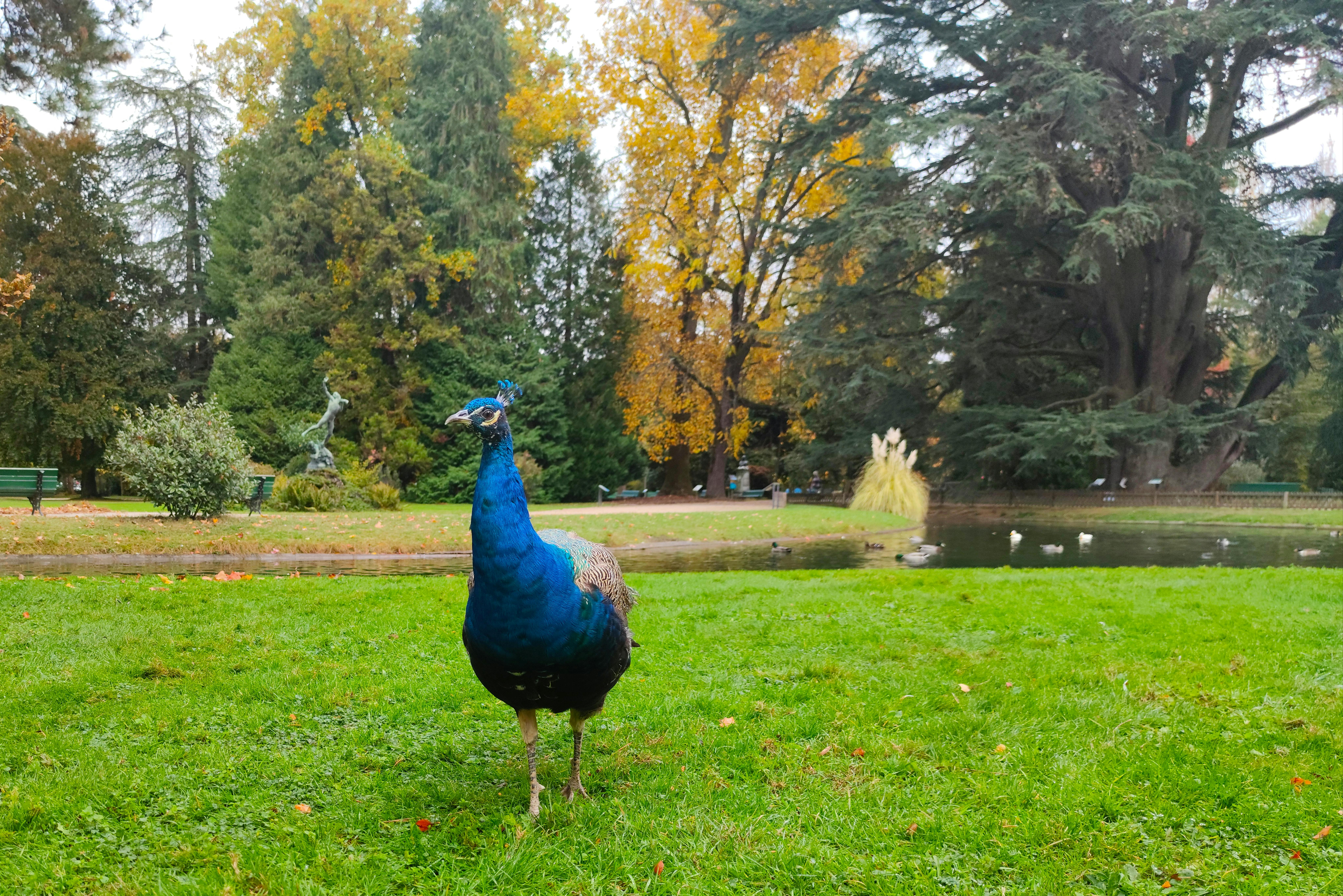 嘉義湖子內社區公園綠地新建工程開工 全齡綠色生活圈啟動