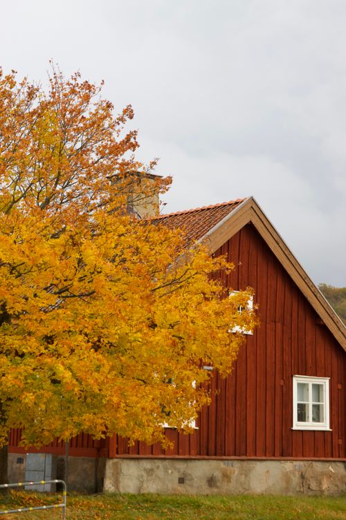 Free A picturesque red house in Huskvarna, Sweden, surrounded by vibrant autumn foliage. Stock Photo