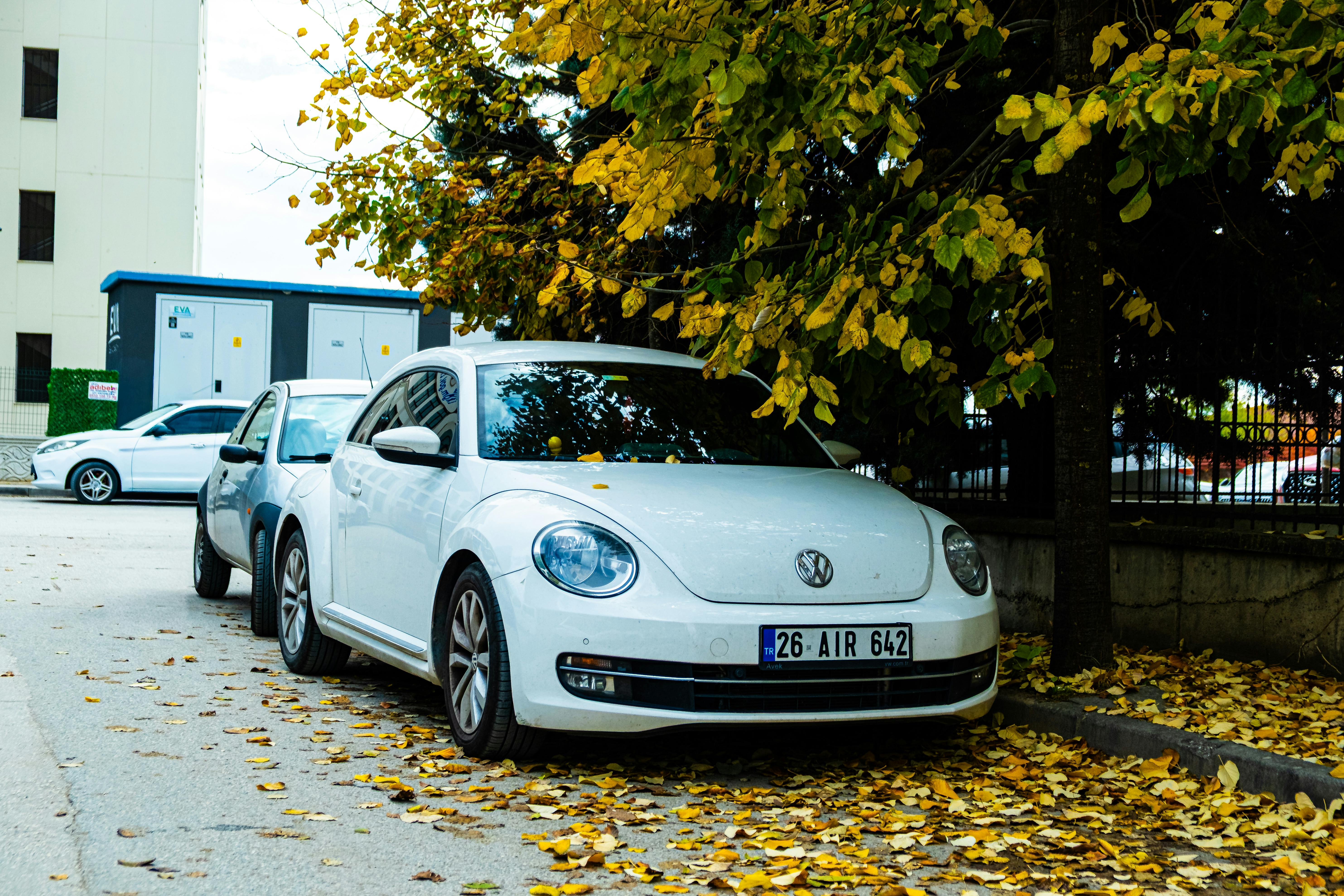 Beginner’s Guide to the Volkswagen Polo: Compact Car,...