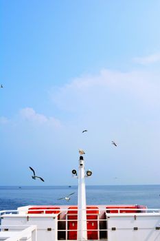 Peaceful scene of seagulls flying over a cruise ship deck in the open ocean under blue skies.