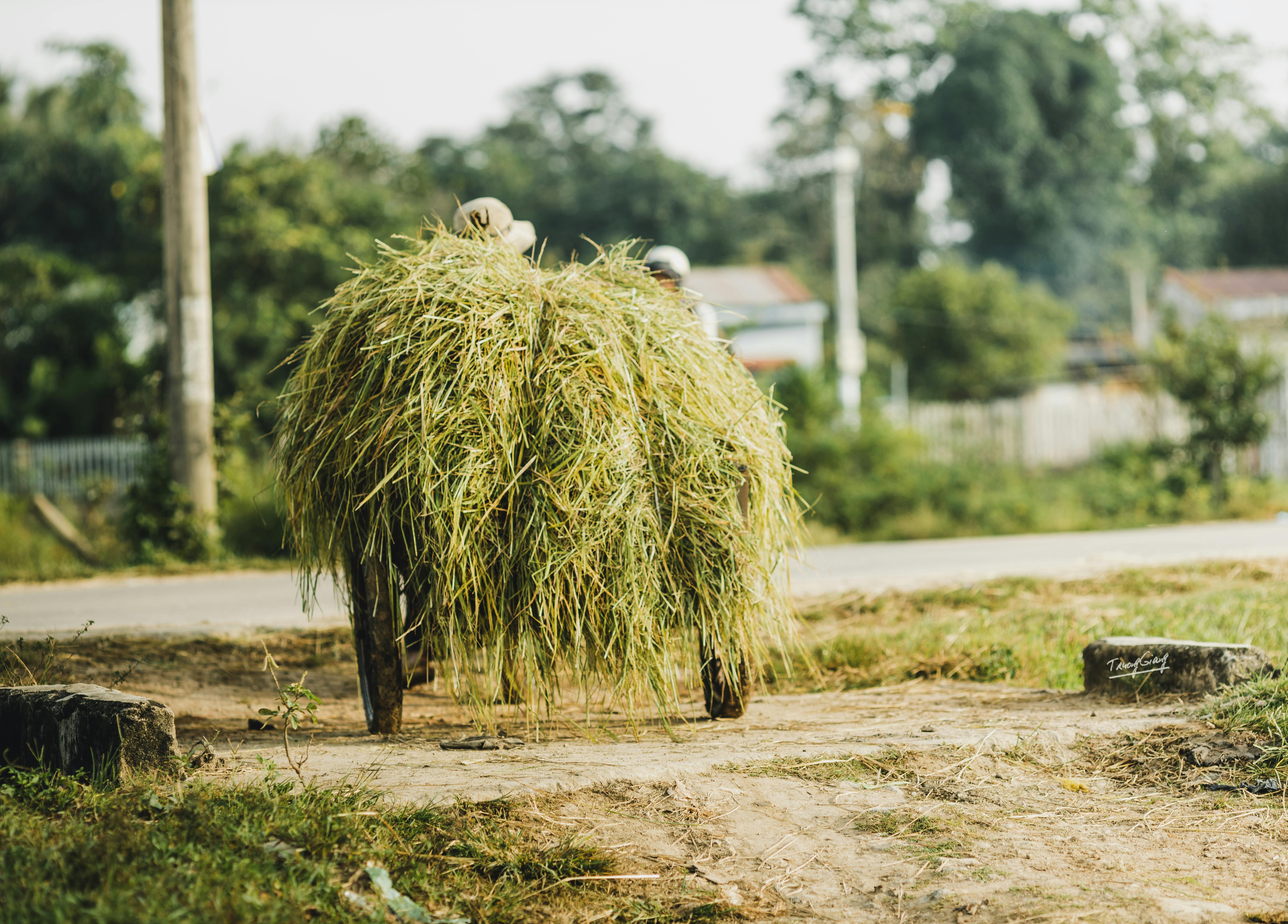 Eco-Friendly Travel Ideas to Try This Year