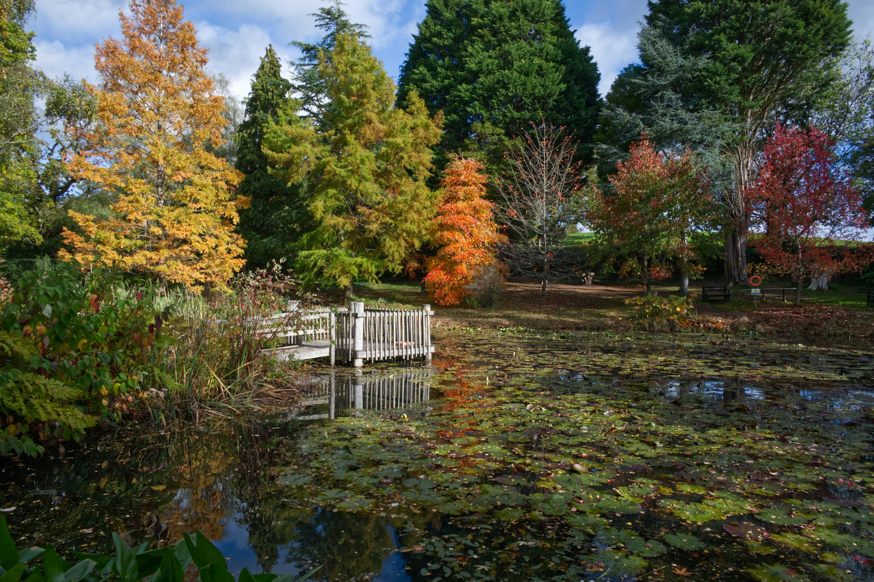 Common Fall Landscaping Myths You Can Stop Believing Right Now