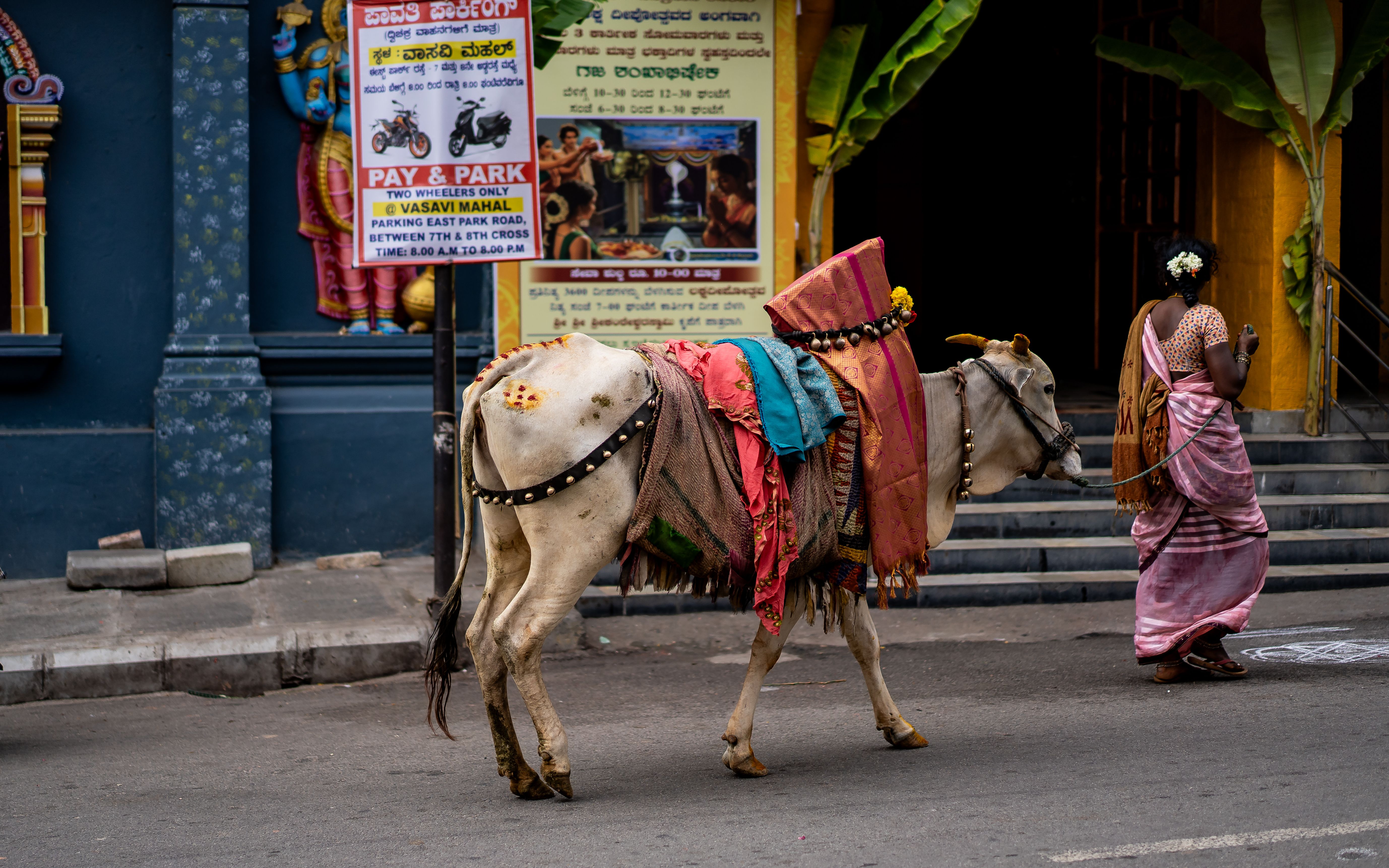 Bangalore Santhe: Markets, Food & Local Culture