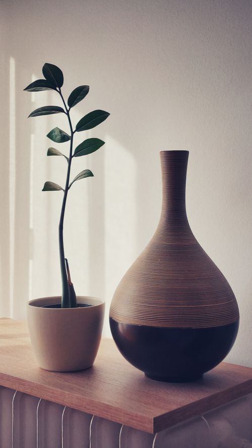 Free Aesthetic minimalist home decor featuring a green plant and a stylish vase on a wooden shelf. Stock Photo